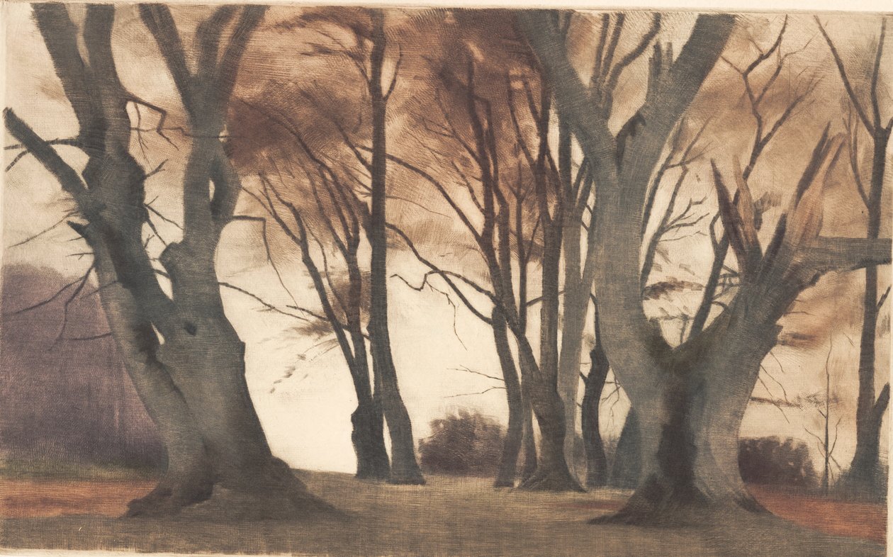 Bøketrær i Ermelunden av Peter Vilhelm Ilsted