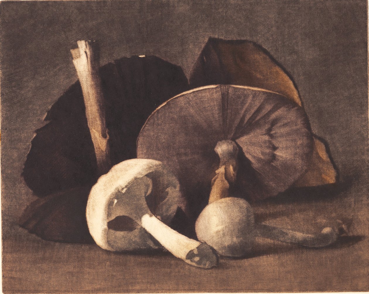 Hvit sopp av Peter Vilhelm Ilsted