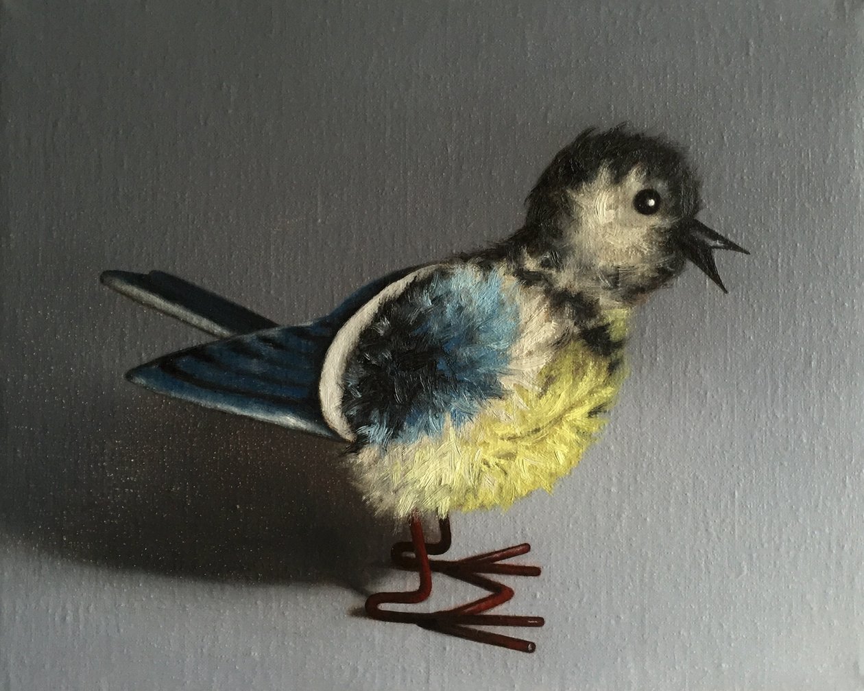 Blåmeis, 2016 av Peter Jones