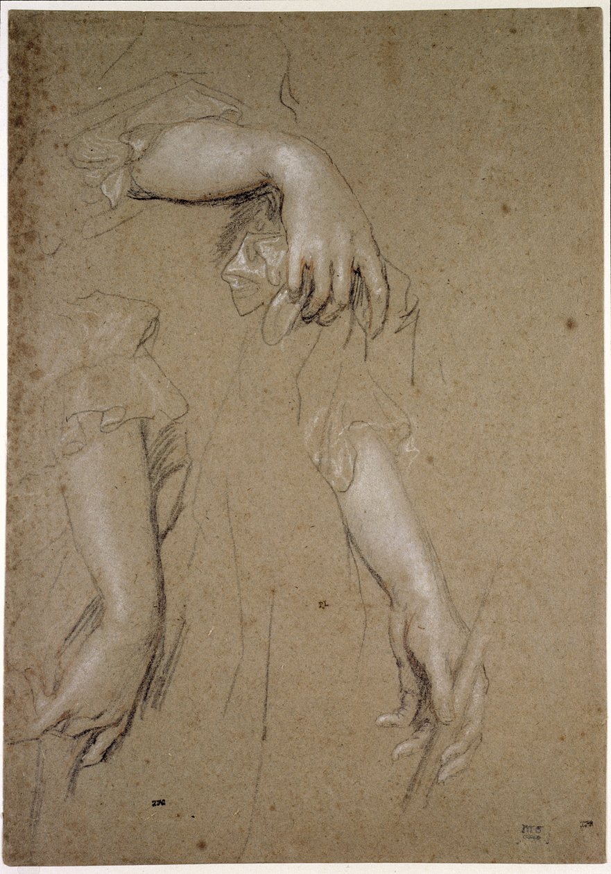 Studies of Hands, 1600-tallet (kritt på papir) av Peter Lely