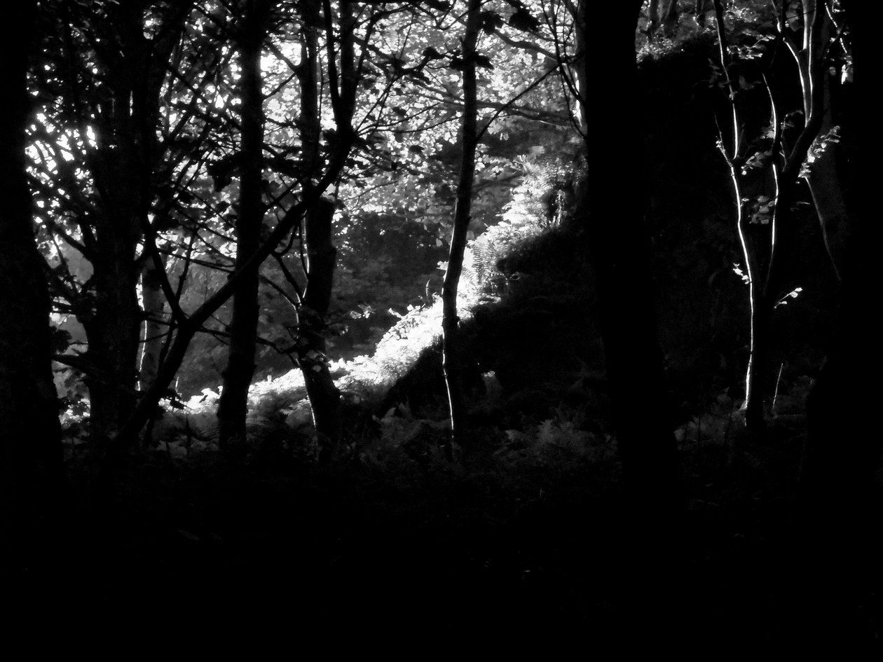 KINTYRE... PLUSS. 17 av Peter McClure