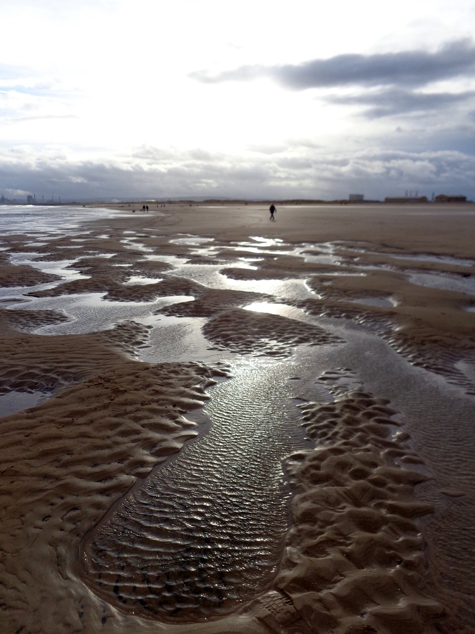LAVVAND HARTLEPOOL, 2016, (FOTO) av Peter McClure