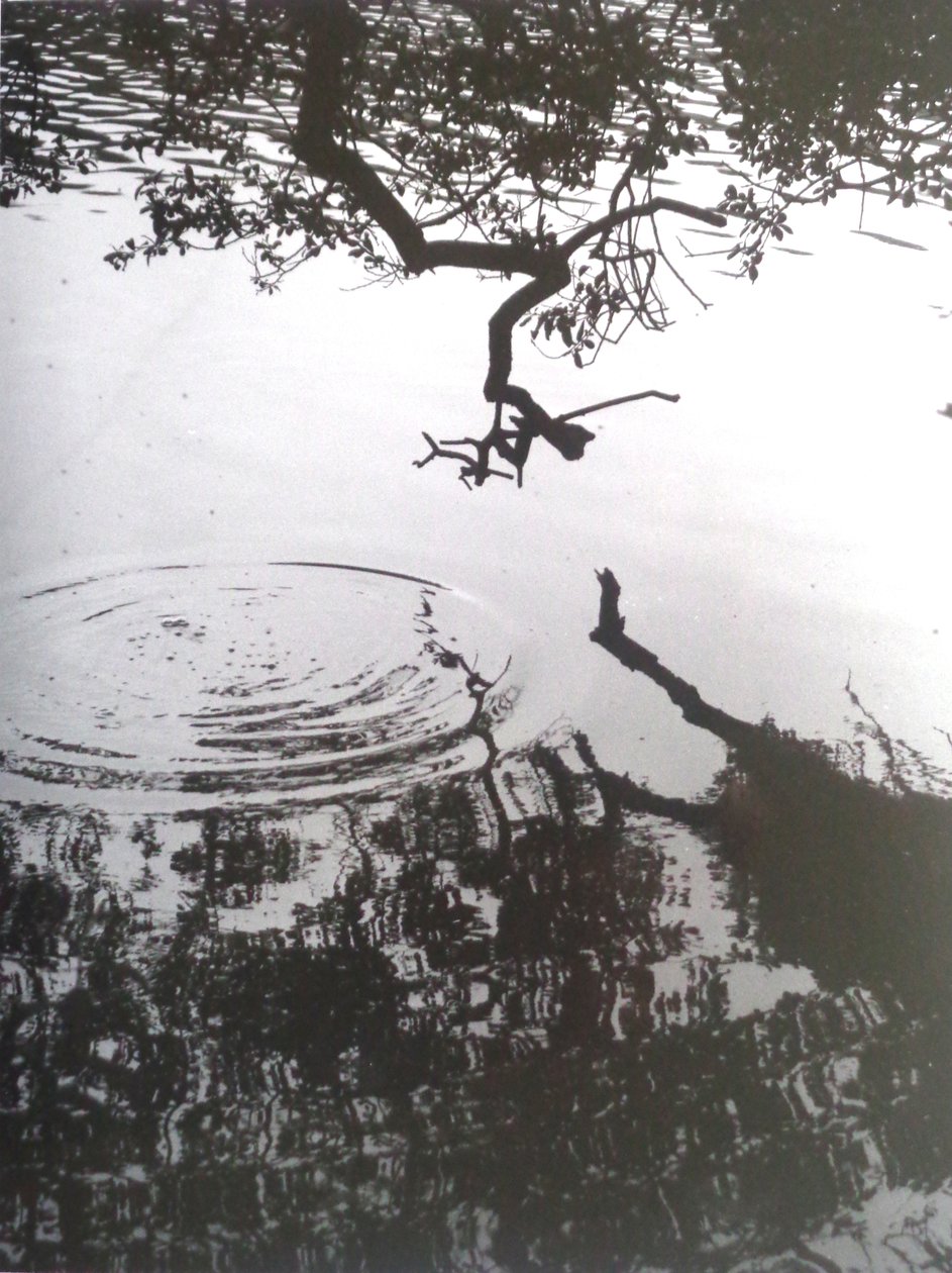 VINTAGE B&W PHOTO No.5, 1986, (FOTO) av Peter McClure