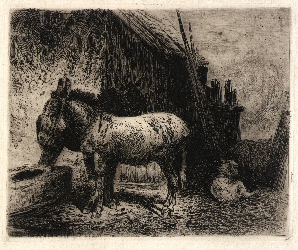  av Peter Moran