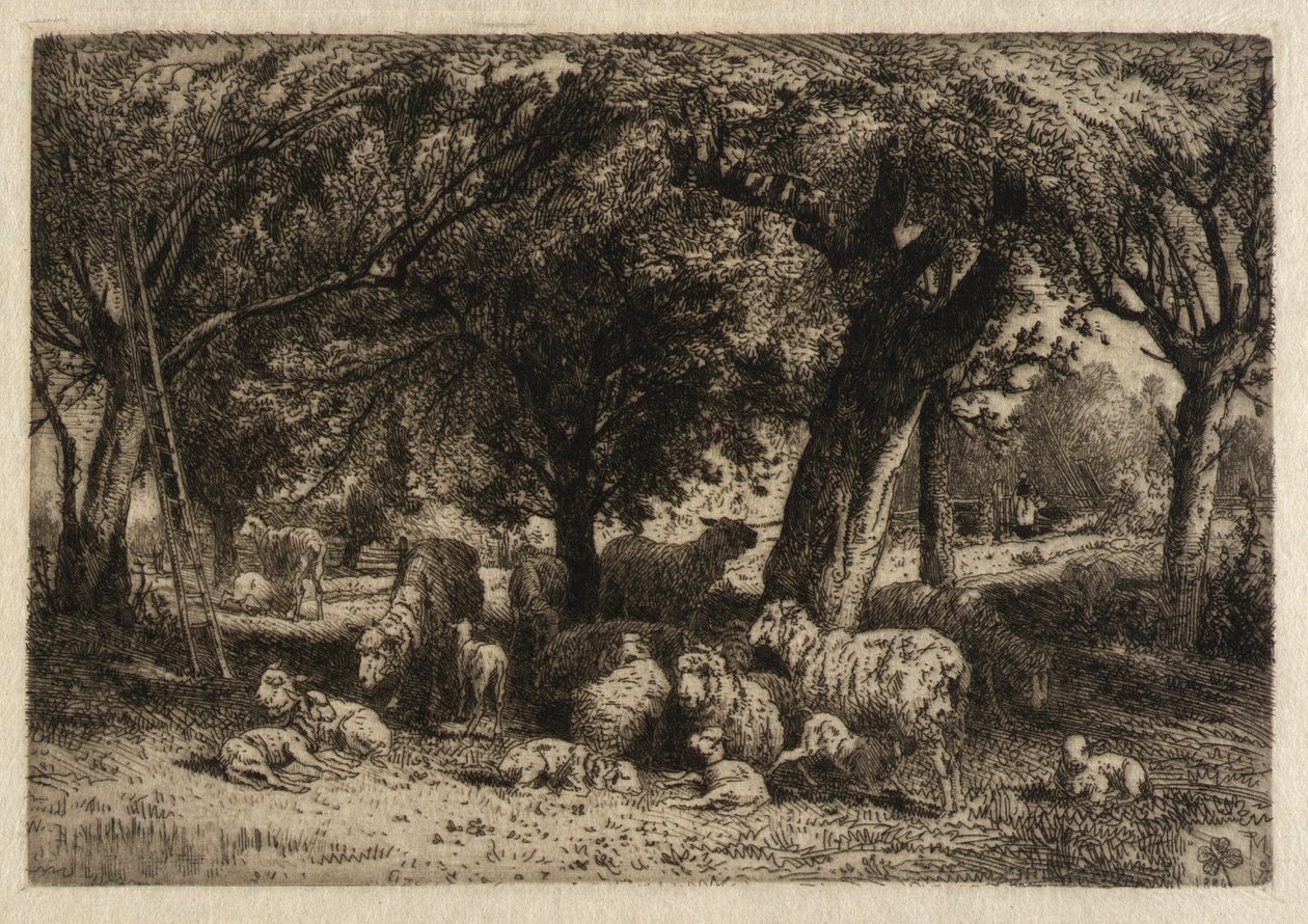  av Peter Moran