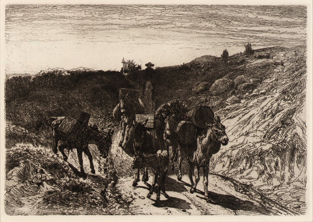  av Peter Moran