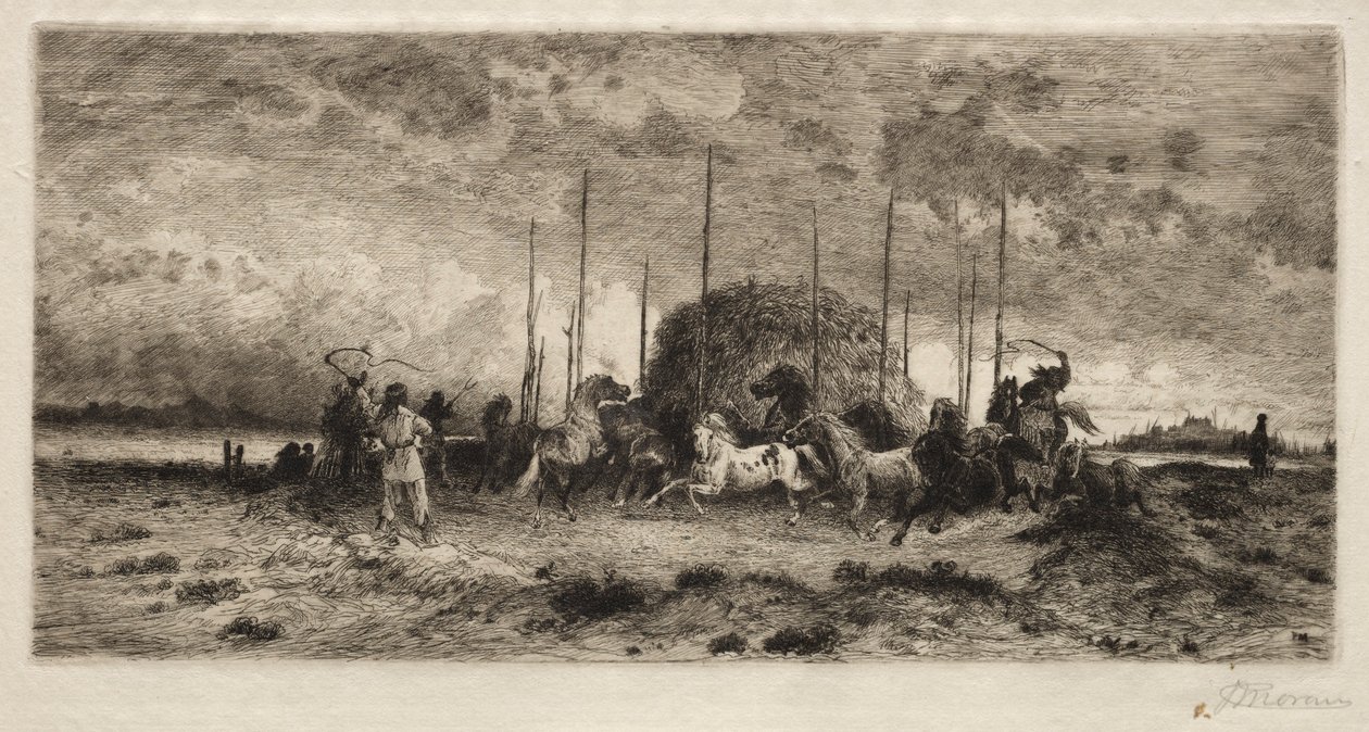  av Peter Moran