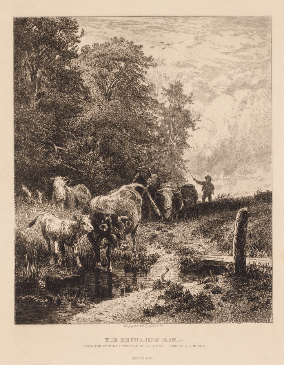  av Peter Moran