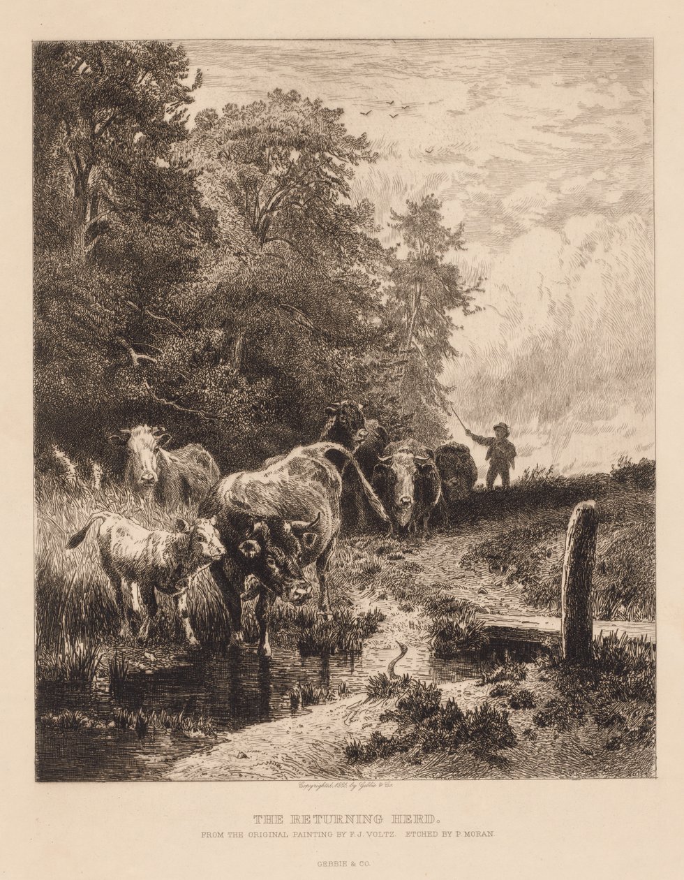 Den tilbakevendende flokk, ca. 1885. av Peter Moran
