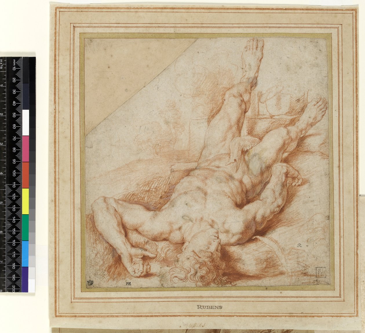 Abel Slain av Kain (tegning) av Peter Paul Rubens
