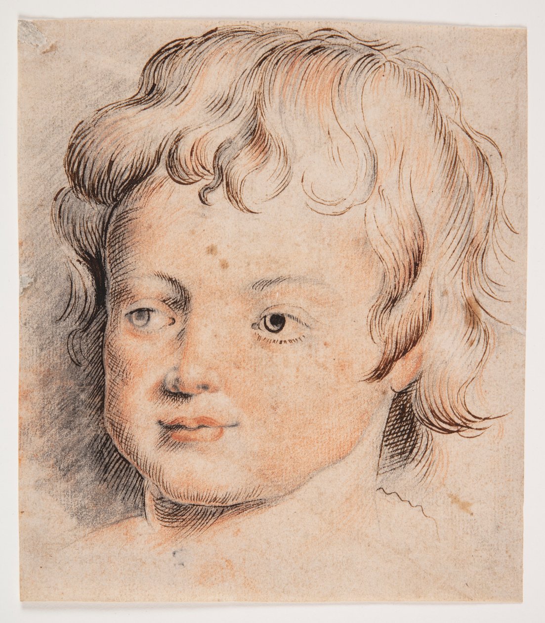 Barnehoved av Peter Paul Rubens