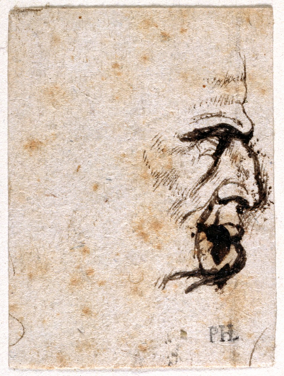Galba, fra ti tegninger av åtte av de første tolv Cæsarene, etter Giovanni da Cavinos medaljer (penn og blekk på papir) av Peter Paul Rubens