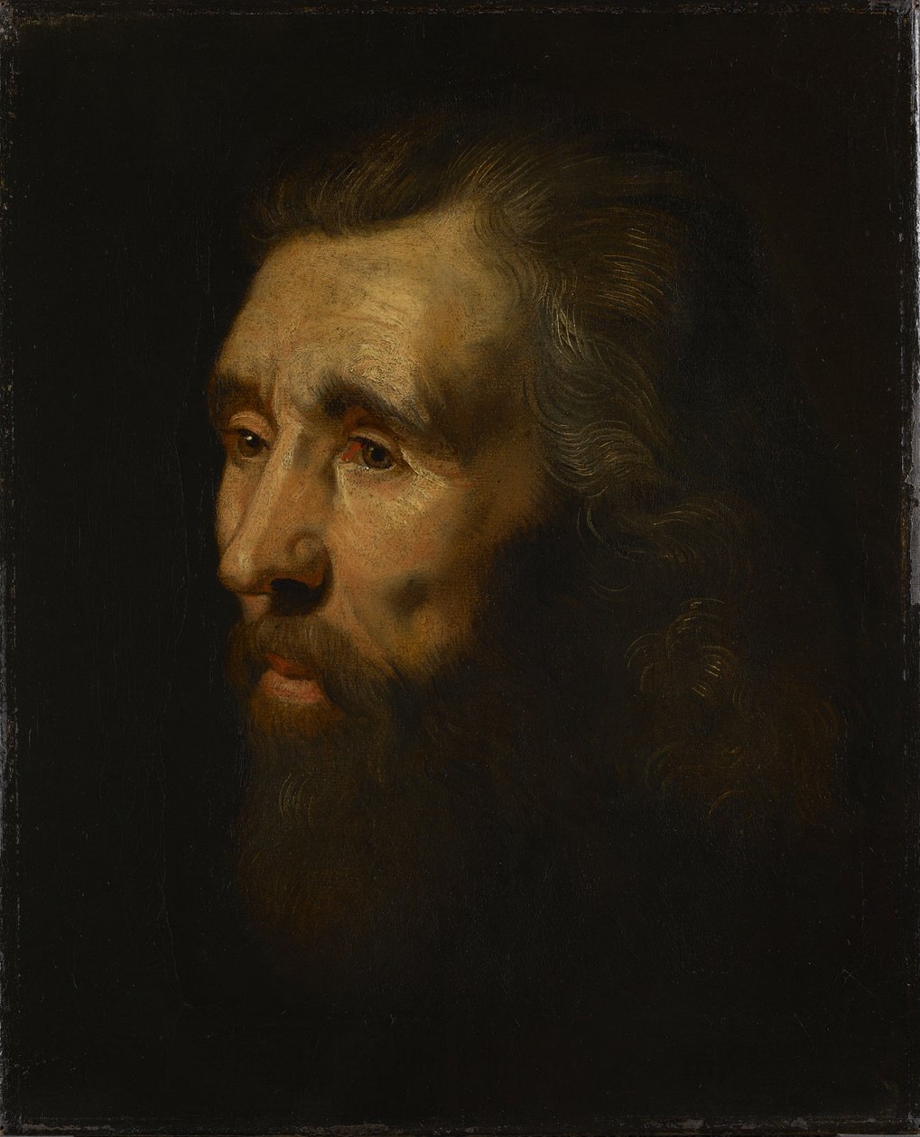 Hode av en skjegget mann av Peter Paul Rubens