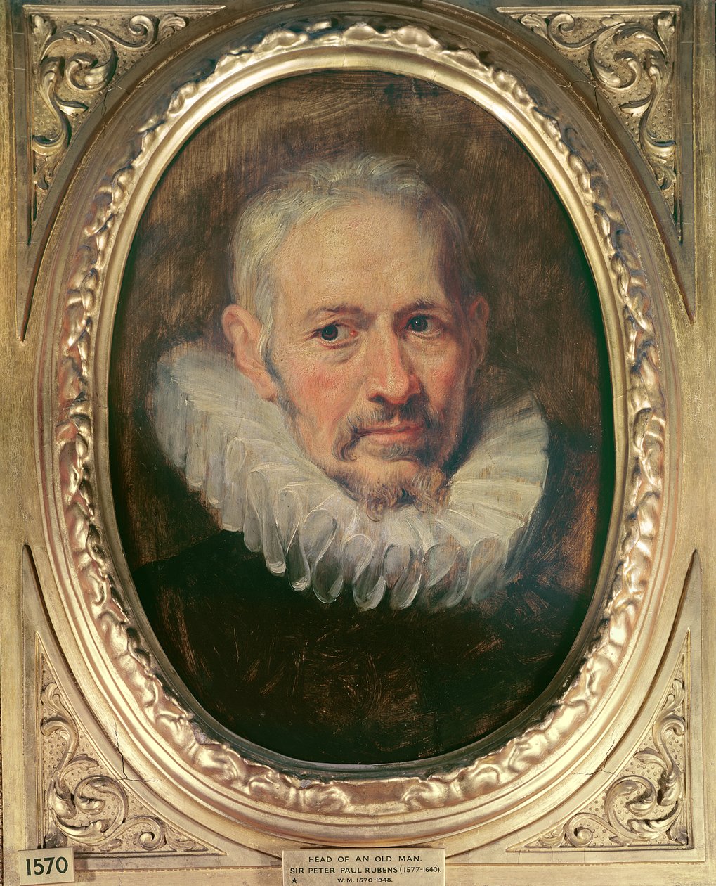 Head of an Old Man (olje på lerret) av Peter Paul Rubens