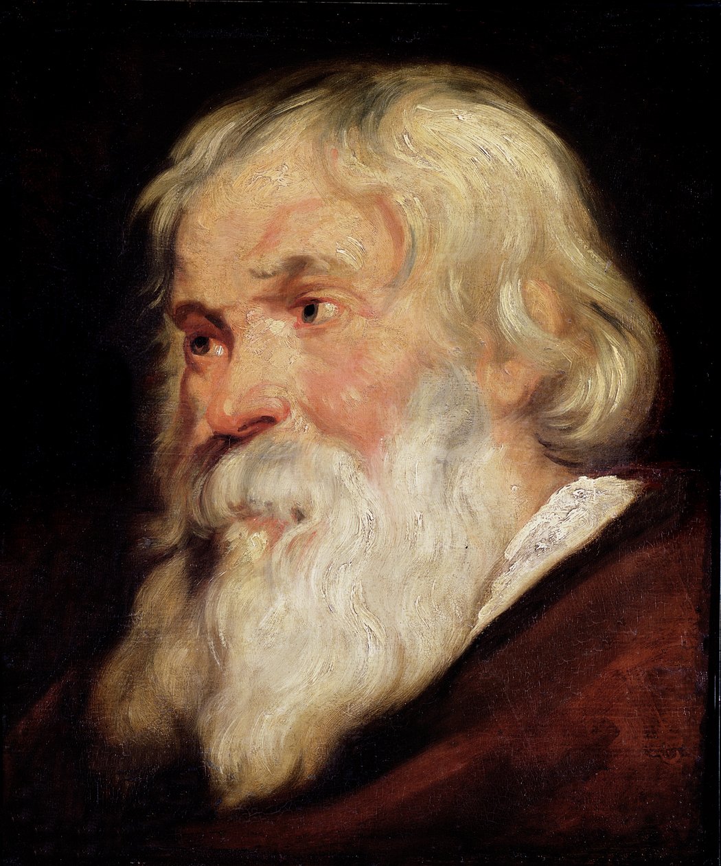 Leder av en gammel mann av Peter Paul Rubens