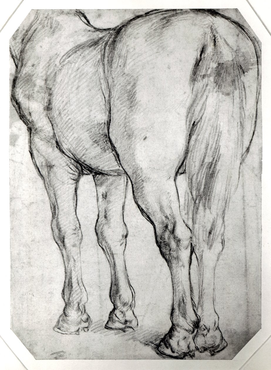 Hestens bakdel av Peter Paul Rubens