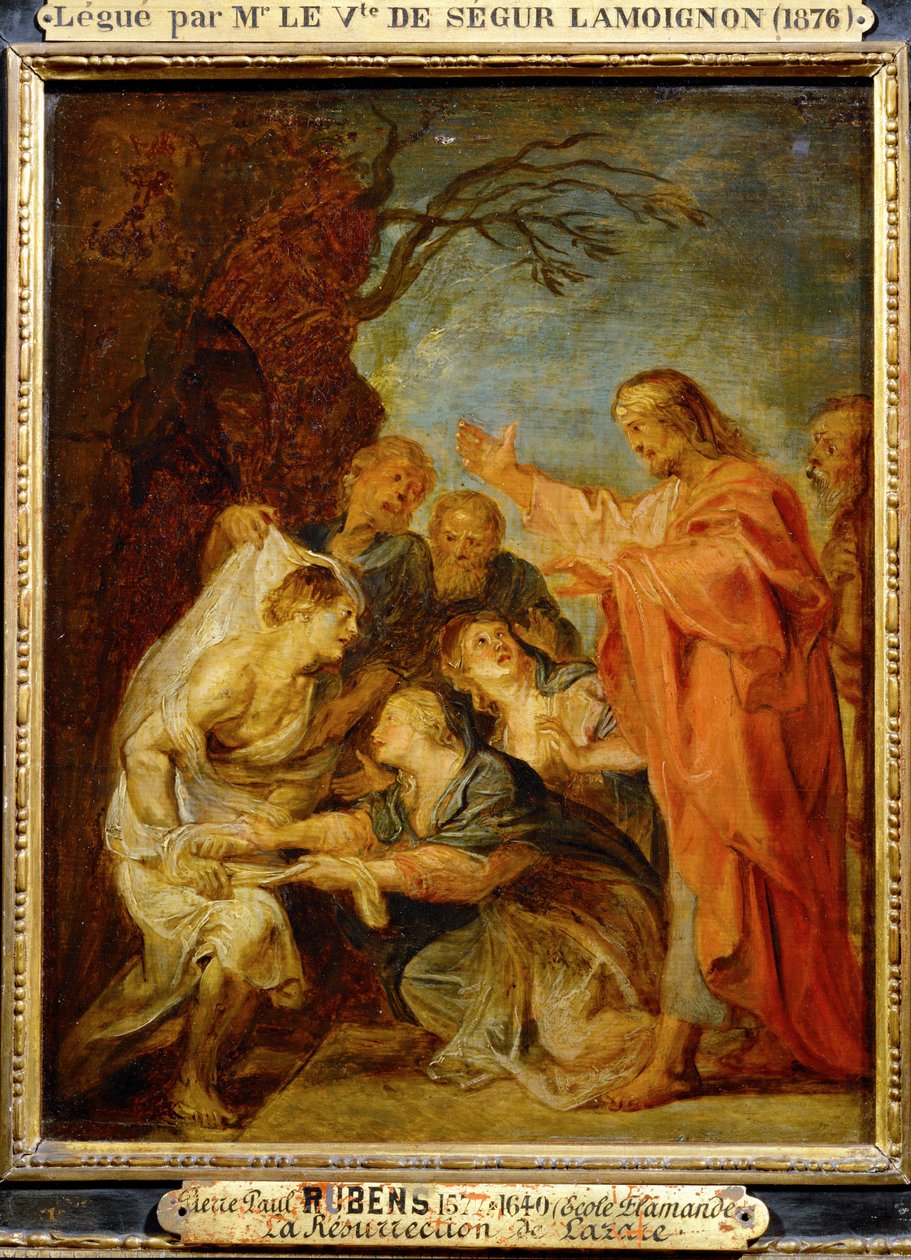  av Peter Paul Rubens