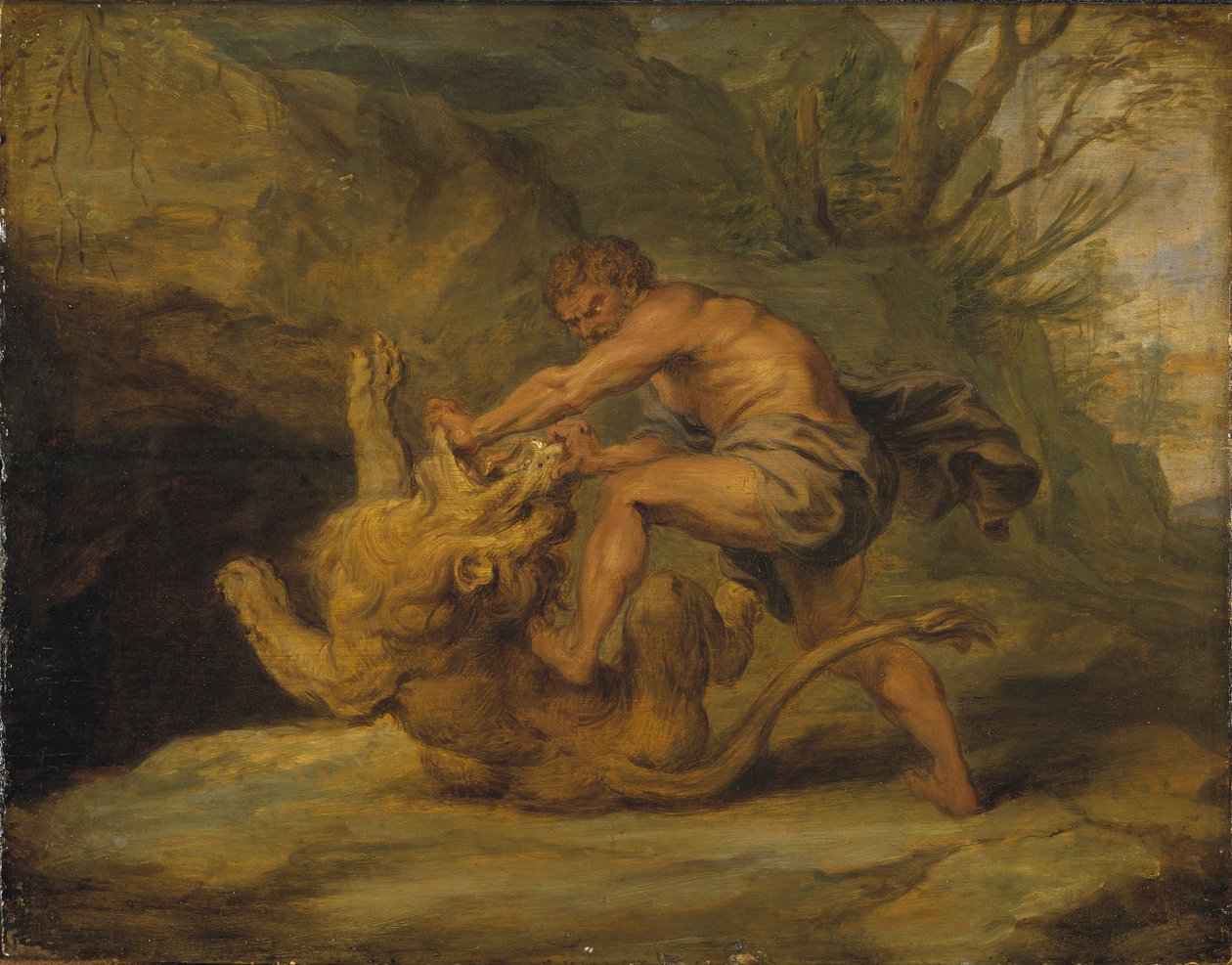 Samson og løven. Studie av Peter Paul Rubens