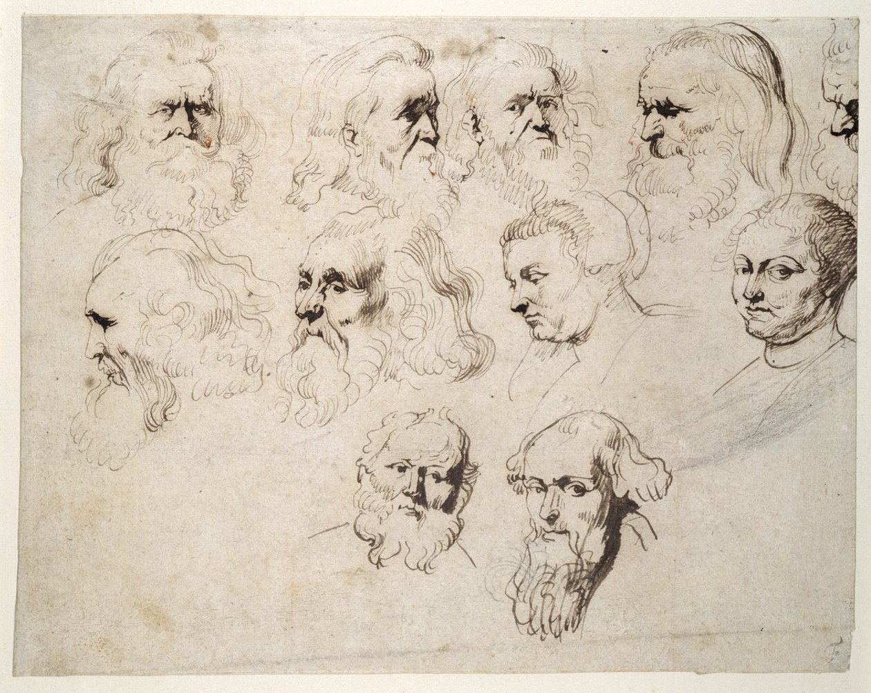 Syv studier av hodet til en eldre skjeggete mann, med to andre av forskjellige menns hoder og to av en kvinne, en med hette, ca. 1616 (penn og blekk med kritt på papir) av Peter Paul Rubens