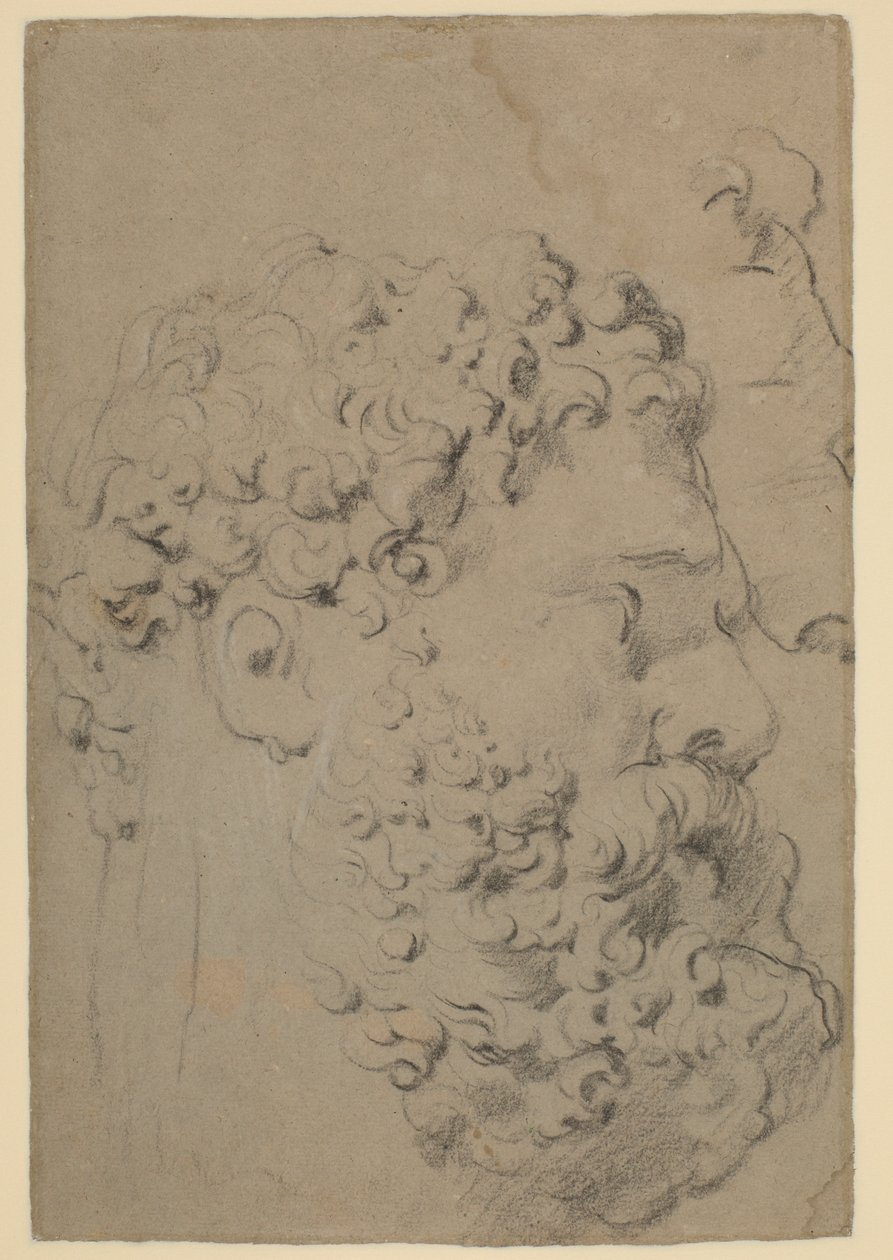 Studier av hodet og profilen til Farnese Hercules sett fra et lavere synspunkt av Peter Paul Rubens