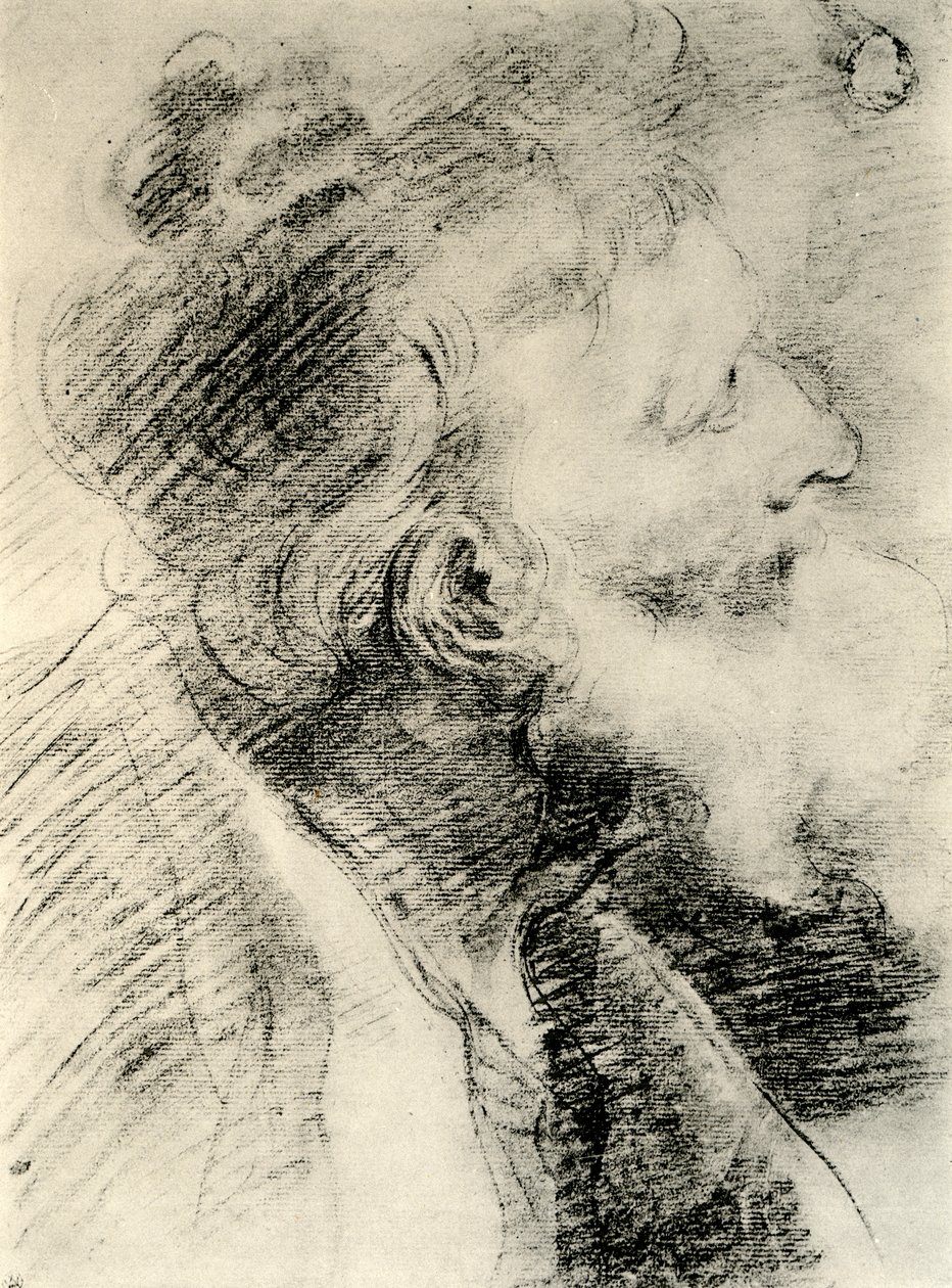 Studie for hodet til en gammel mann, 1913. av Peter Paul Rubens