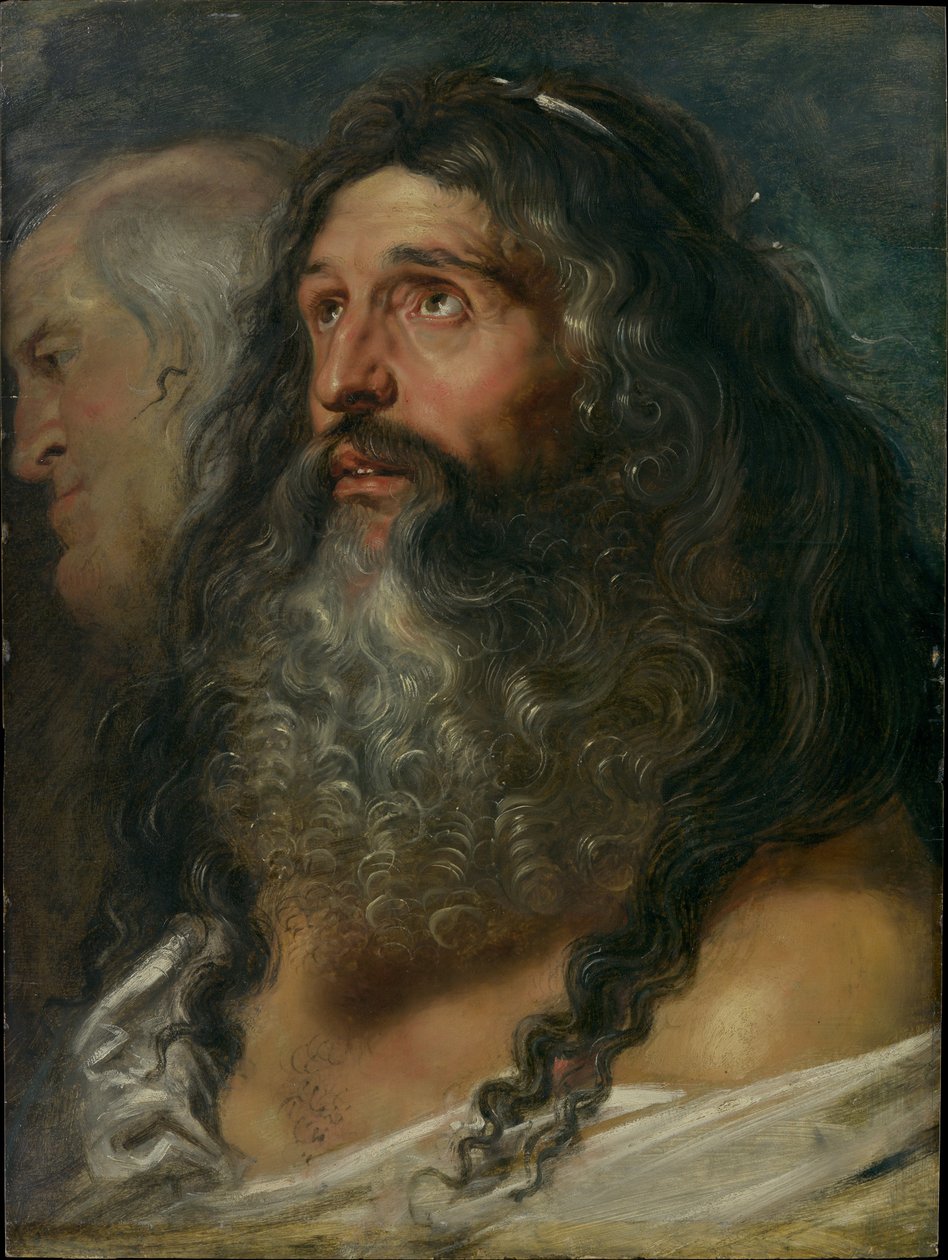Studie av to hoder av Peter Paul Rubens