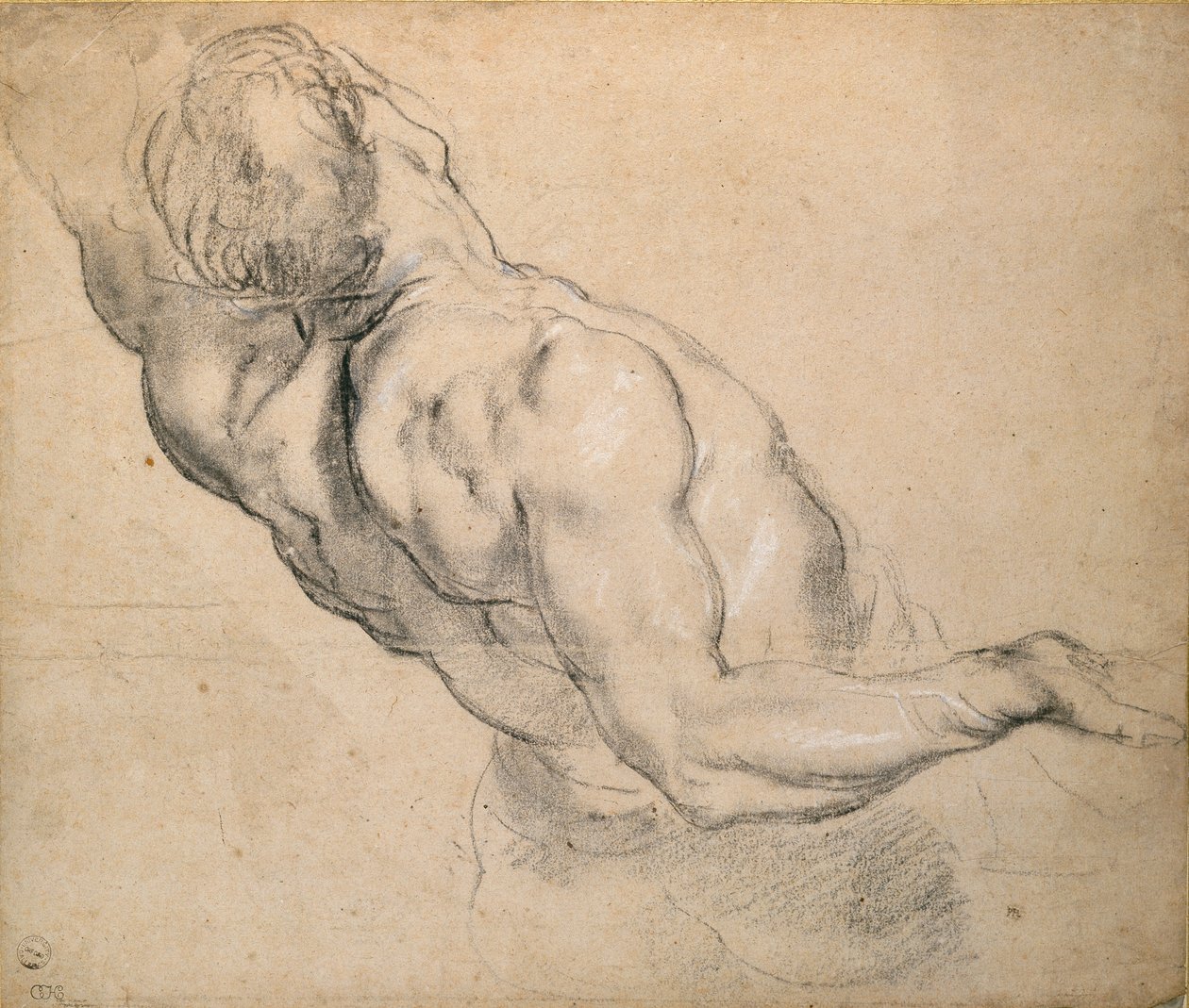 Studie av en naken mannlig Torso, 1600-1640 av Peter Paul Rubens