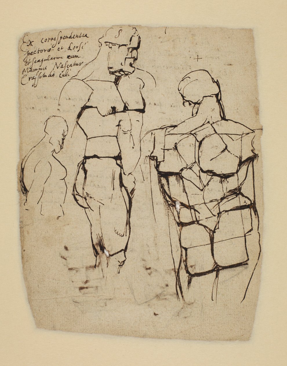 Studie av Farnese Hercules av Peter Paul Rubens