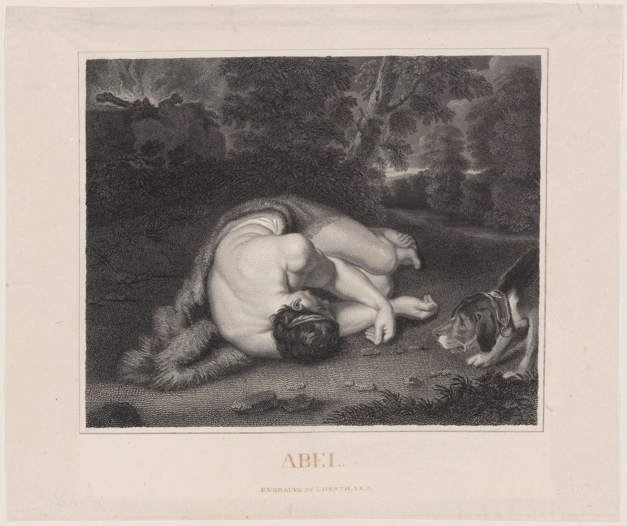 Abels død av Peter Paul Rubens