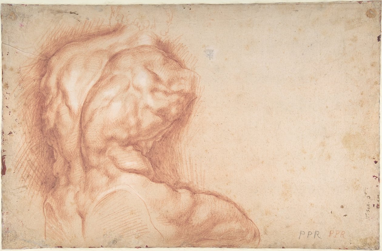 Jomfruen tilbedt av helgener (forside); Studie av Belvedere-torsoen (bakside) av Peter Paul Rubens