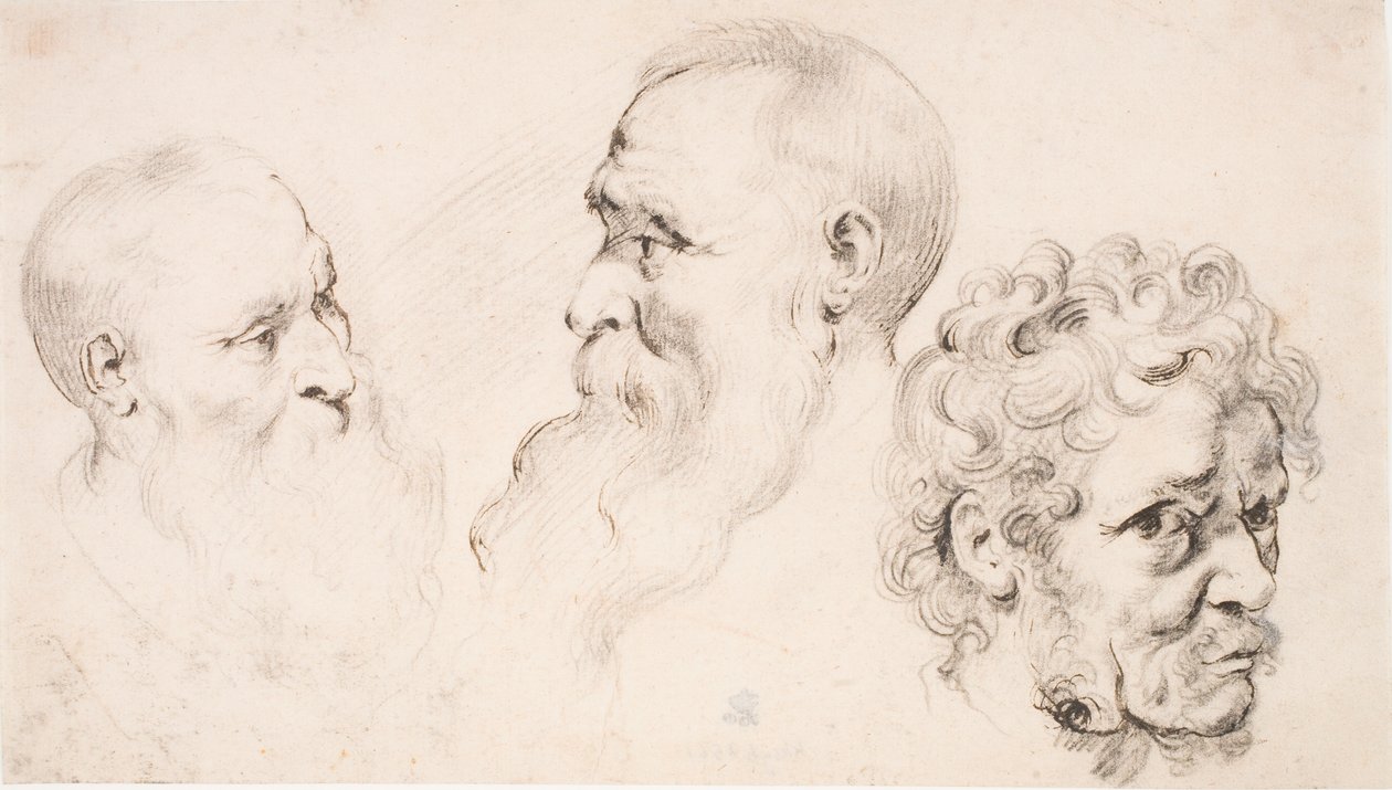 Tre mannehoder av Peter Paul Rubens