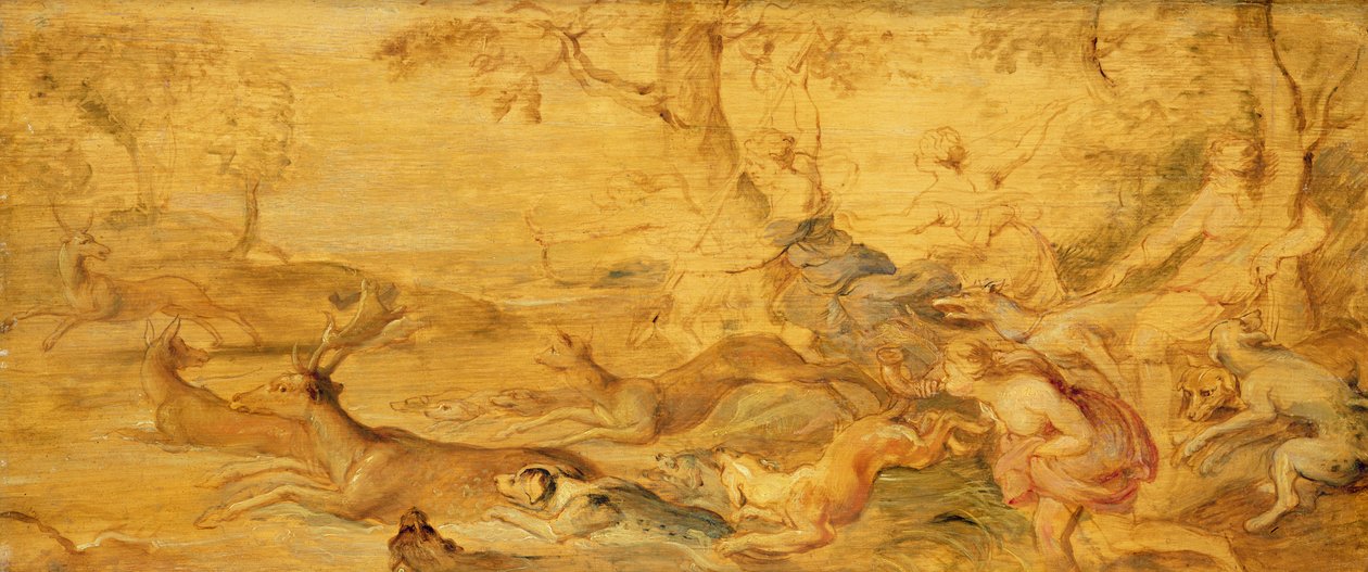 Ukjent bilde av Peter Paul Rubens