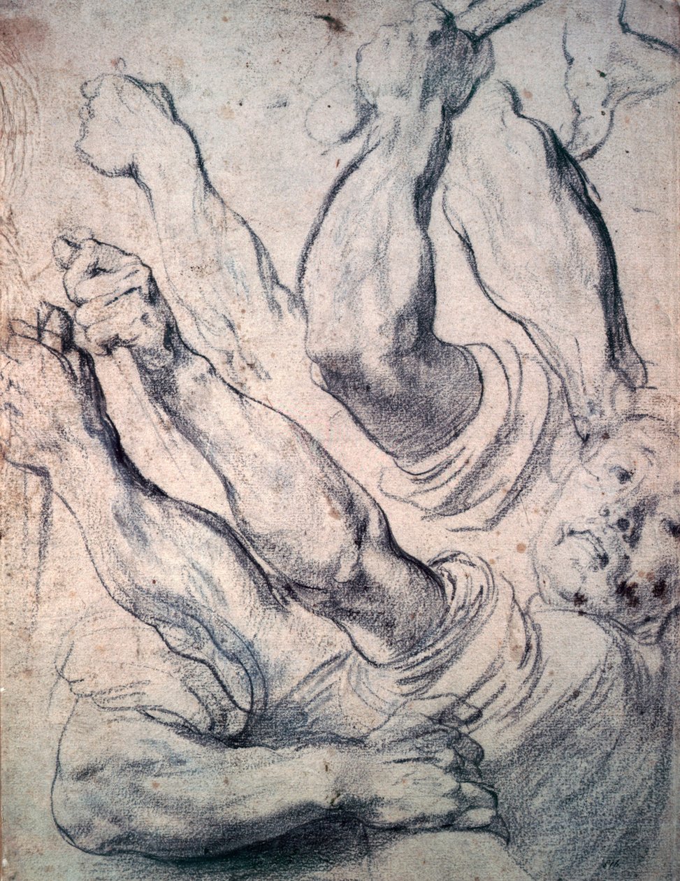 Ukjent bilde av Peter Paul Rubens