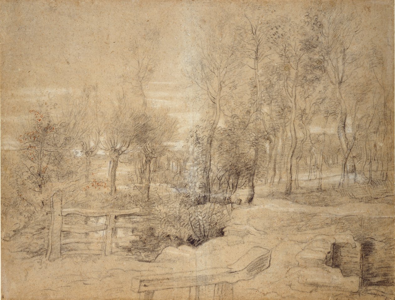 Woodland Scene, tidlig på 1600-tallet av Peter Paul Rubens