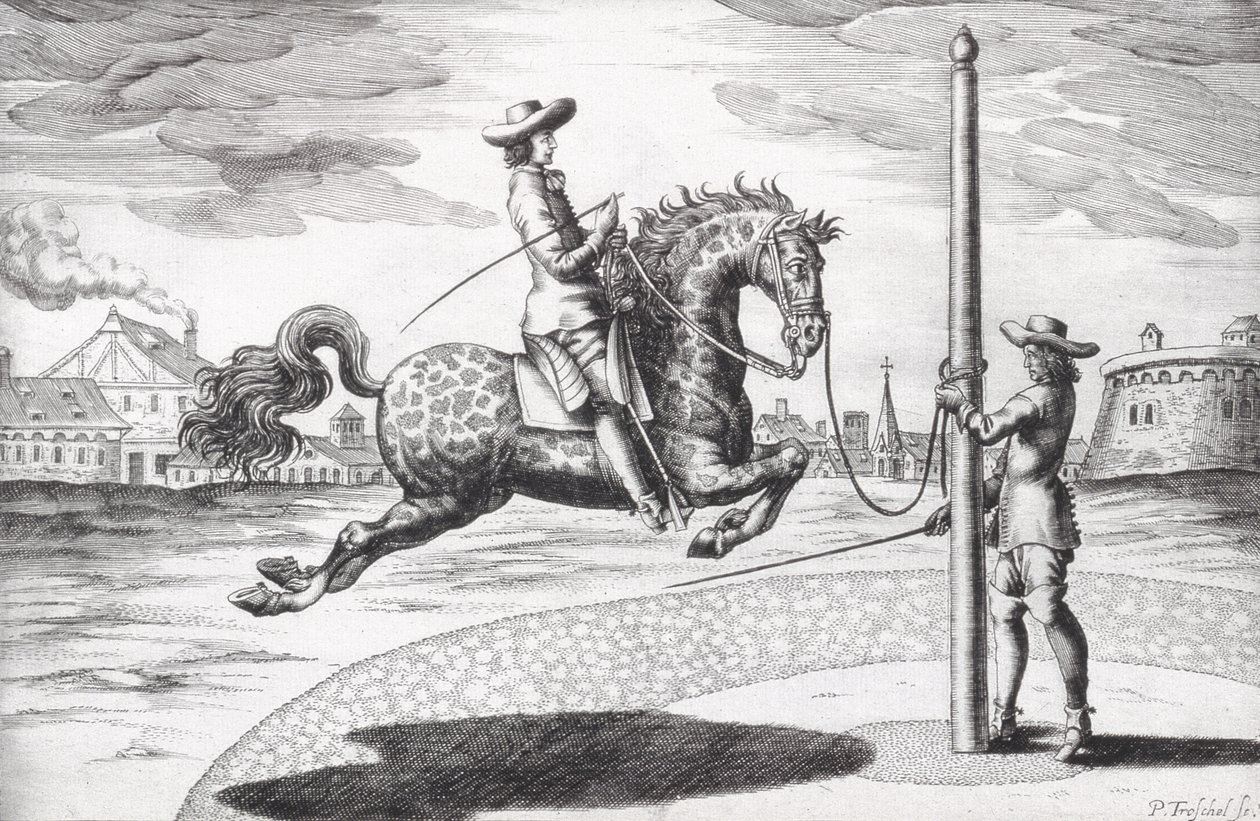 A Horse en Capriole fra New Treatise for Breeding Horses skrevet av Winters, Stuterey og Reit-Schul, gravert av kunstneren, pub. 1672 gravering av Peter Paul Troschel