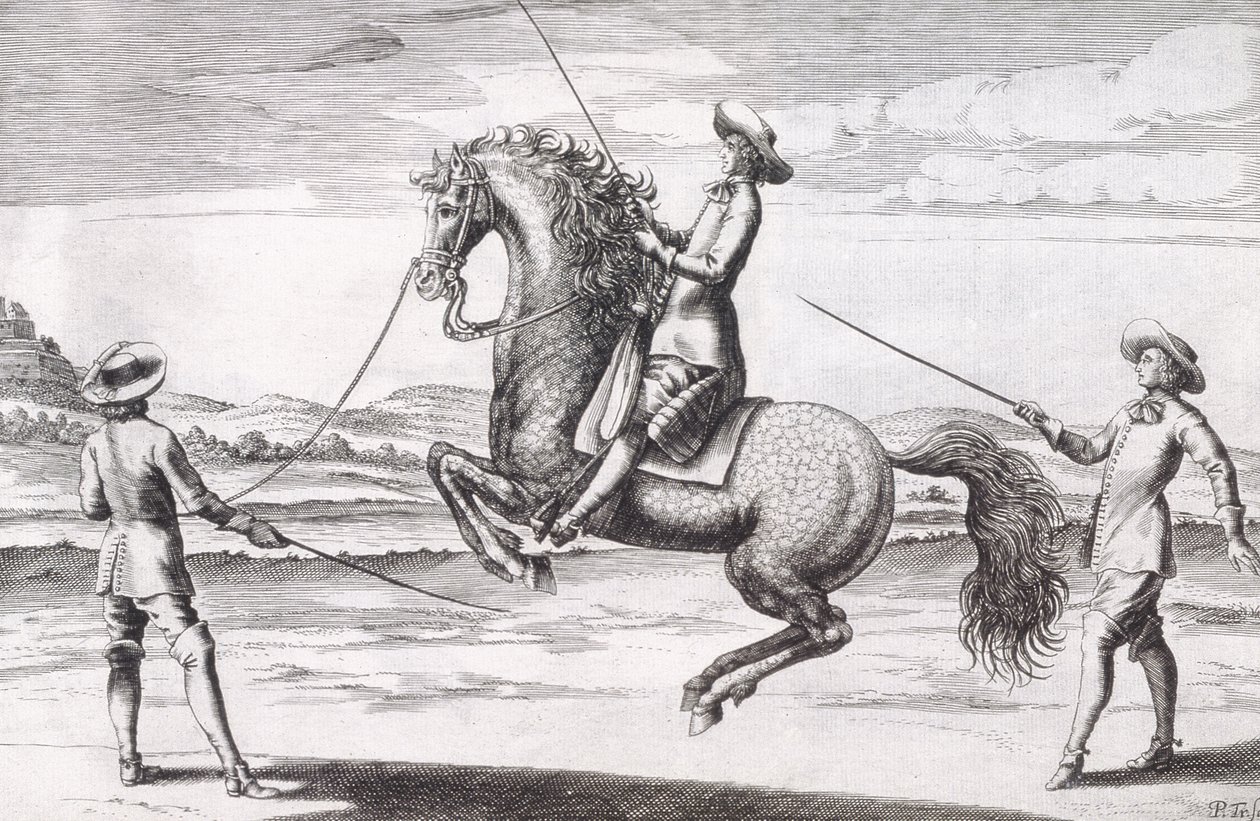 Illustrasjon av en hest en Croupade fra New Treatise for Breeding Horses skrevet av Winters, Stuterey og Reit-Schul, pub. 1672 av Peter Paul Troschel