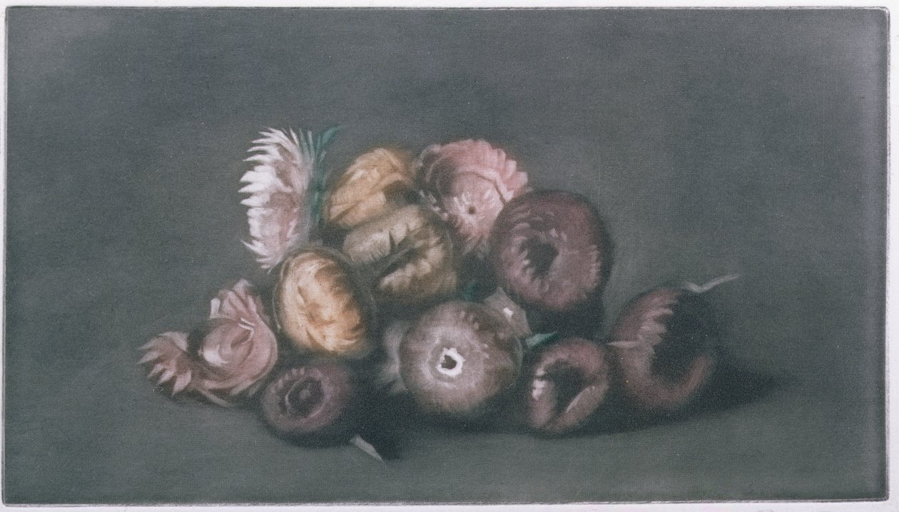 Stilleben av tørkede blomster (farget mezzotint) av Peter Vilhelm Ilsted