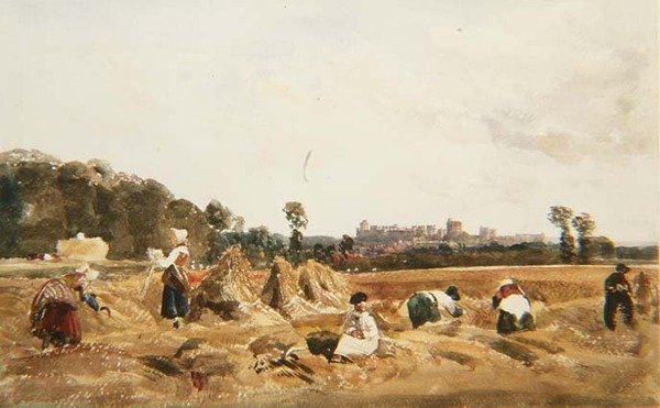 PD.129-1950 Cornfield, Windsor av Peter de Wint