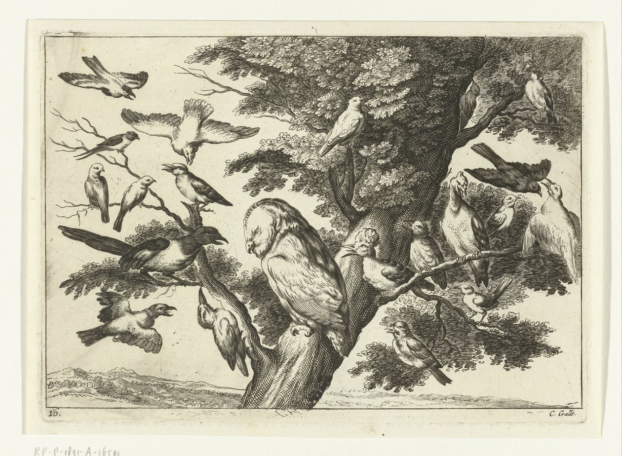 Fugler i et tre Diversarum avium arter (serietittel) Forskjellige fugler (serietittel) av Peter van Liesebetten