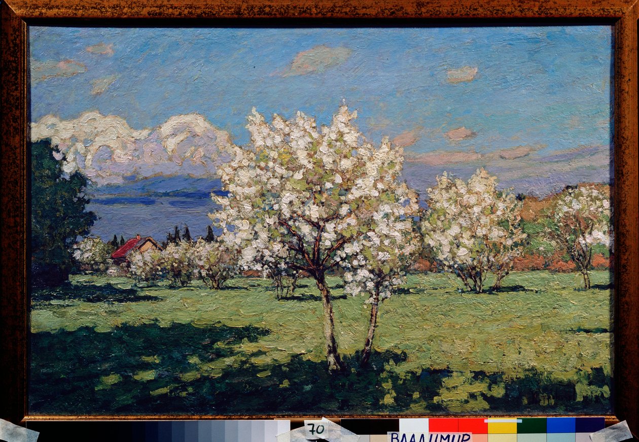 Kirsebærblomster. Maleri av Pyotr Ivanovich Petrovichev (Pyotr Petrovichev) (1874-1947), olje på lerret av Petr Ivanovic Petrovichev