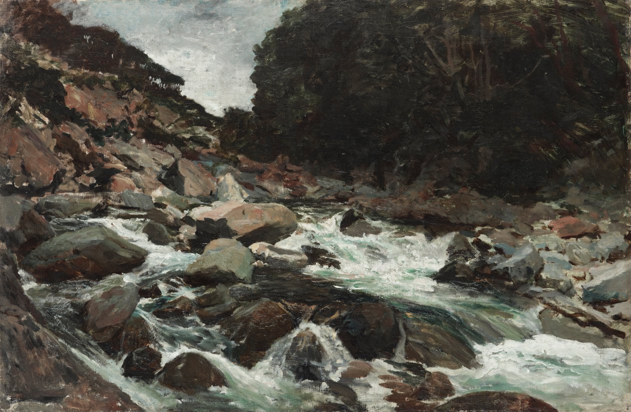 Mountain Stream, Otira Gorge av Petrus van der Velden