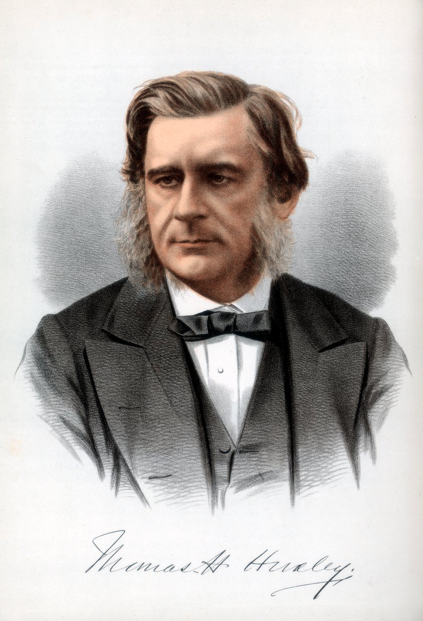 Thomas Henry Huxley, engelsk biolog, c1890. av Petter and Galpin Cassell