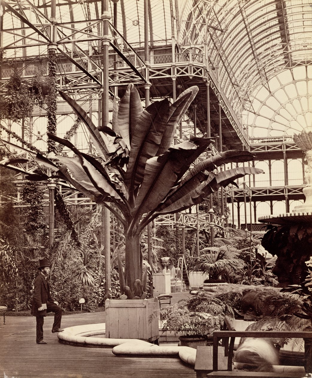 Tropiske planter i det egyptiske rommet, Crystal Palace, Sydenham, 1854 av Philip Henry Delamotte