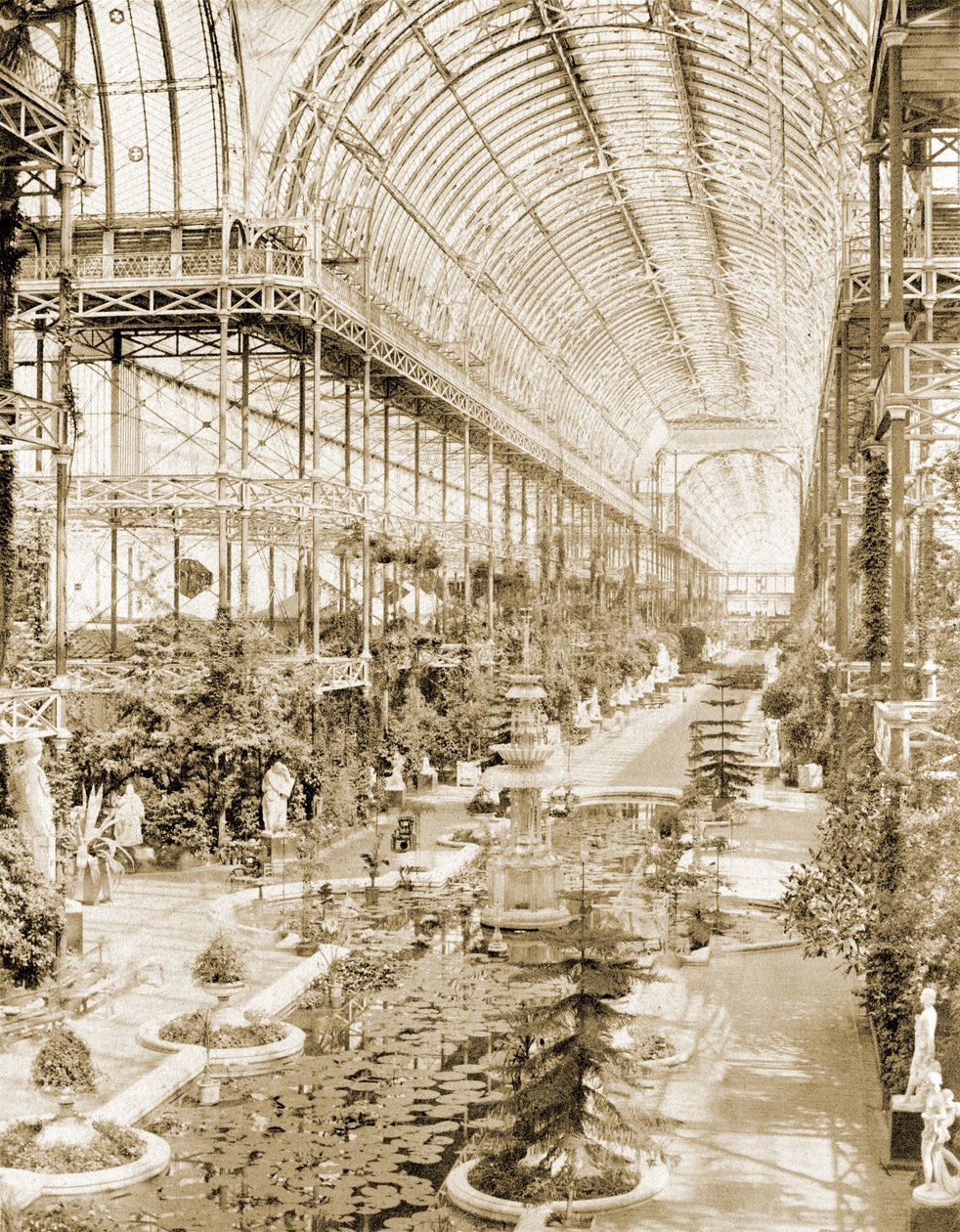 Det indre av skipet tatt fra galleriet over Dronningens skjerm i sørenden ca. 1859 (s/hvitt foto) av Philip Henry Delamotte