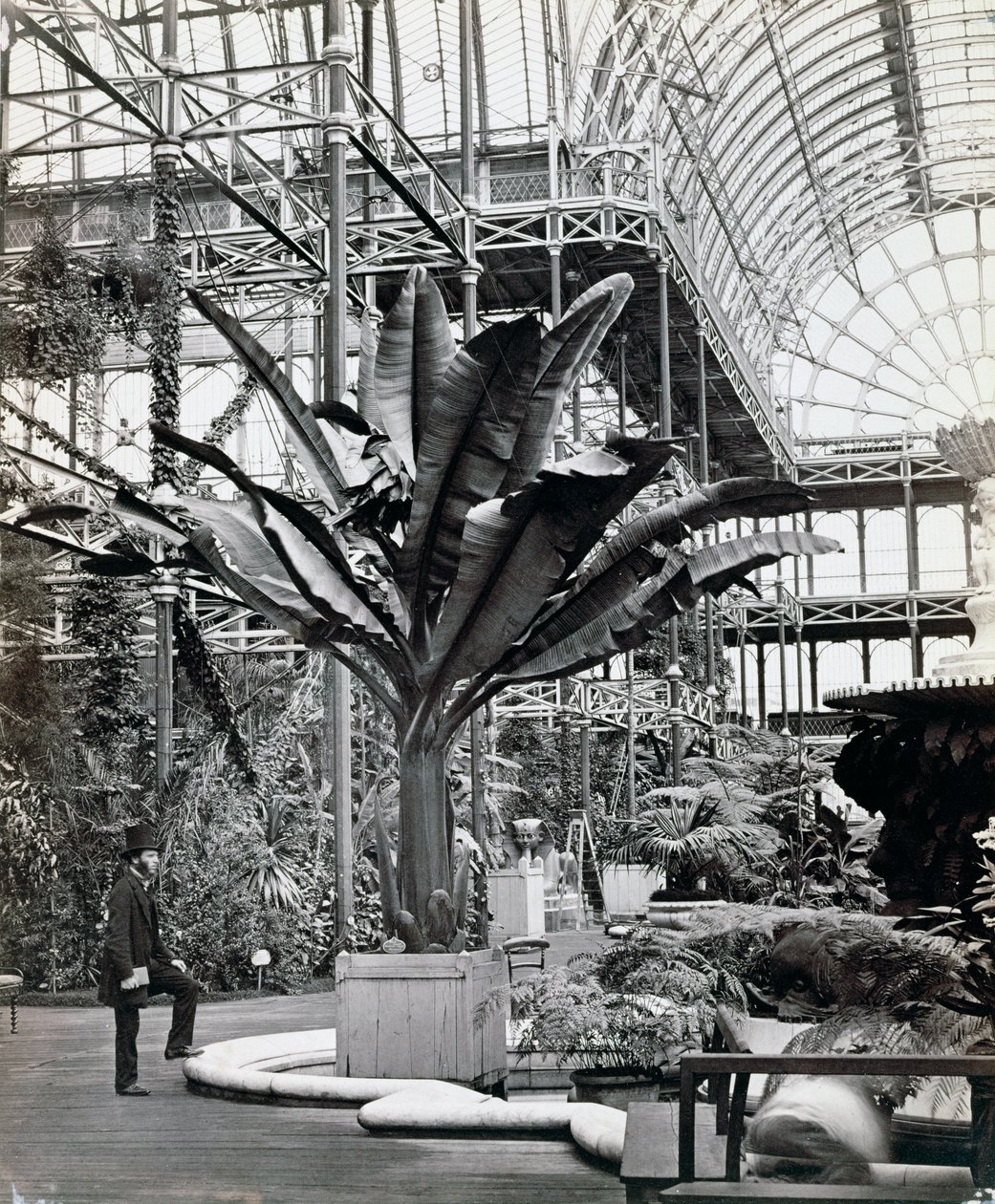 Tropiske planter i det egyptiske rommet, Crystal Palace, Sydenham, London, 1854 av Philip Henry Delamotte