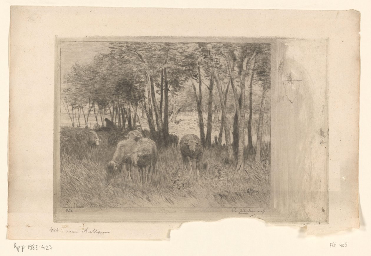flokk med sauer og gjeter i en eng med trær Moutons (original tittel) av Philip Zilcken (signed by artist)