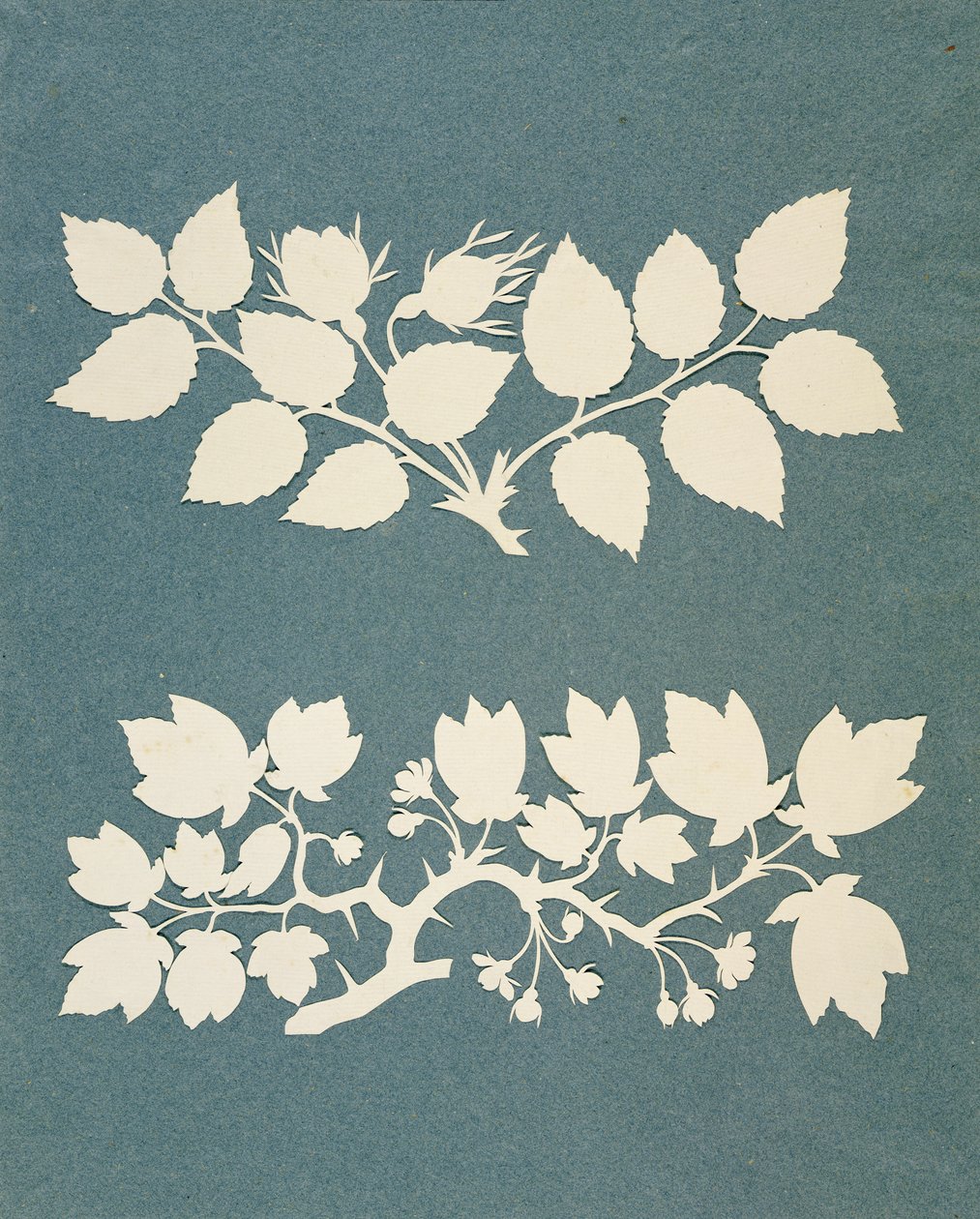 A Rose Branch og Jasmin Branch (collage på papir) av Philipp Otto Runge