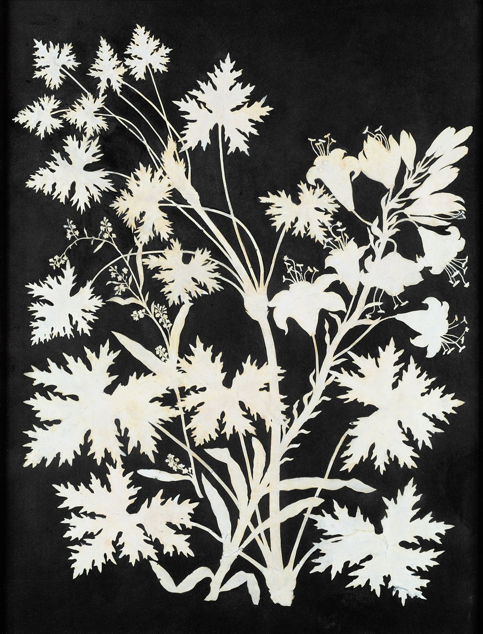 Blomster i silhuett av Philipp Otto Runge