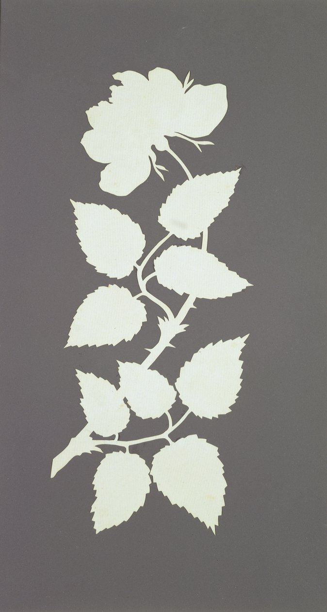 Rose (collage på papir) av Philipp Otto Runge