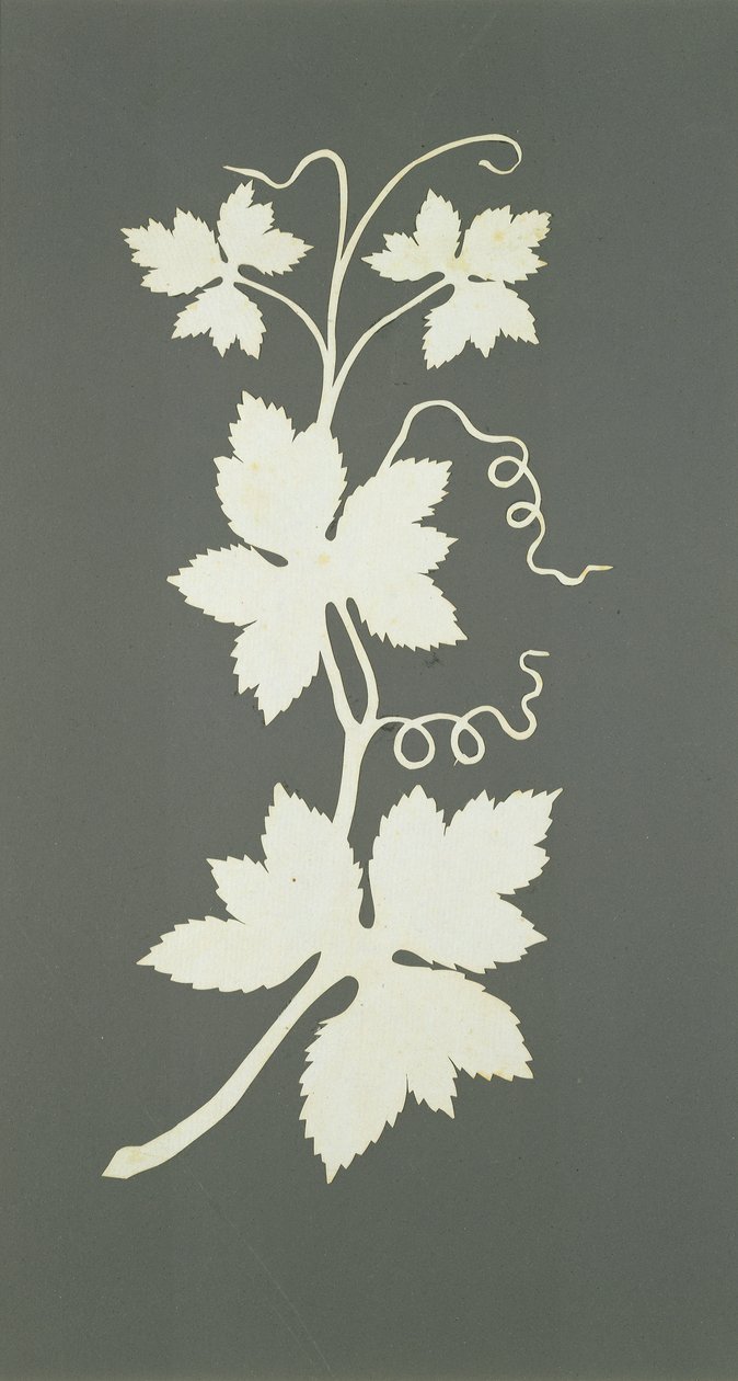 Humleplante (collage på papir) av Philipp Otto Runge